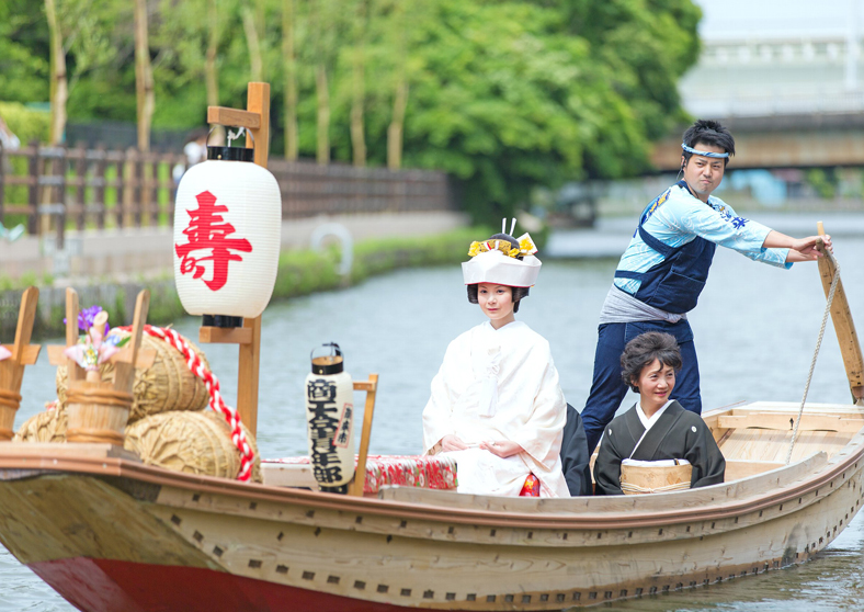 『都忘れ』のアートワーク