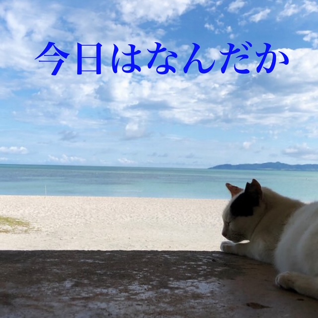 『今日はなんだか』のアートワーク