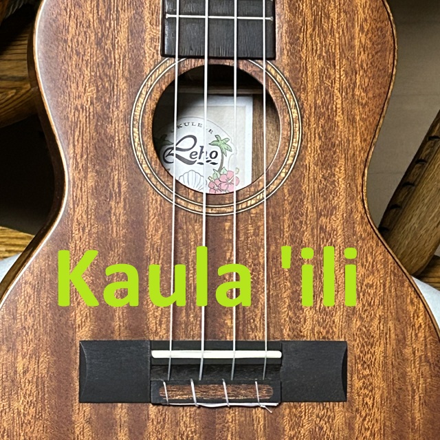 『Kaula 'ili』のアートワーク