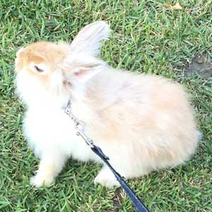 lafihnaさんのプロフィールを見る
