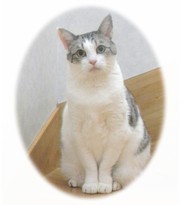 こおきさんのプロフィールを見る