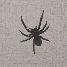 Poison spiderさんのプロフィールを見る