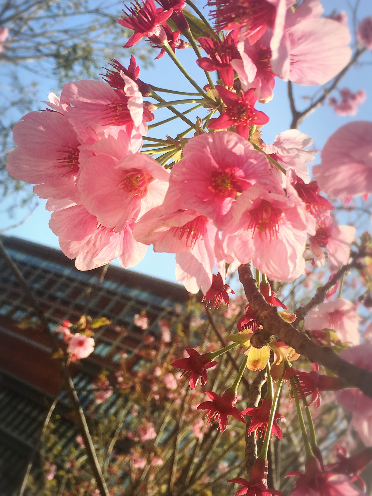 華琉さんのプロフィールを見る
