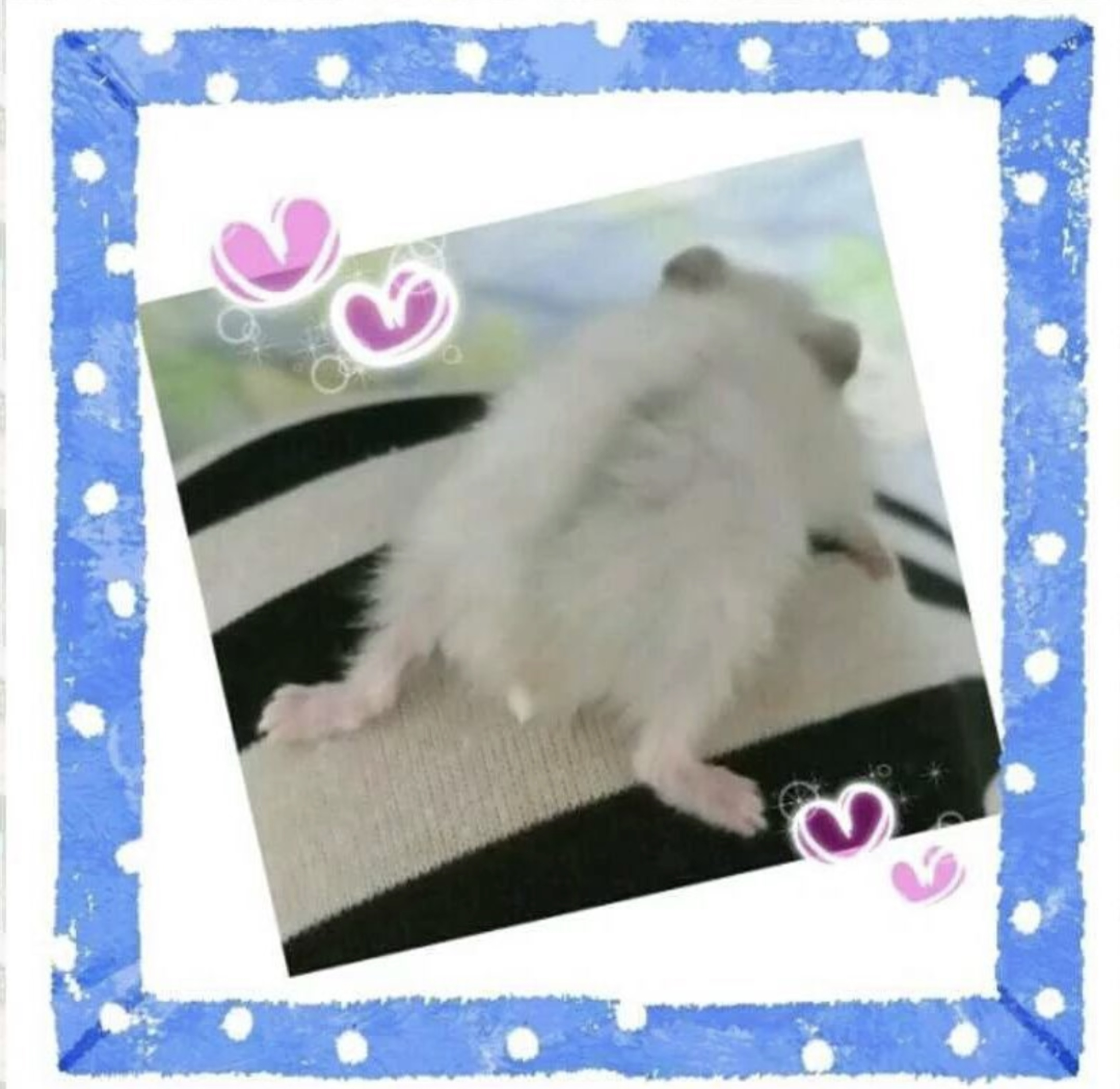 Hironkoさんのプロフィールを見る